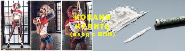 дурь Богданович