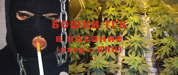 PSILOCYBIN Верея