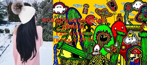 PSILOCYBIN Верея