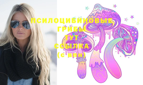 дурь Богданович