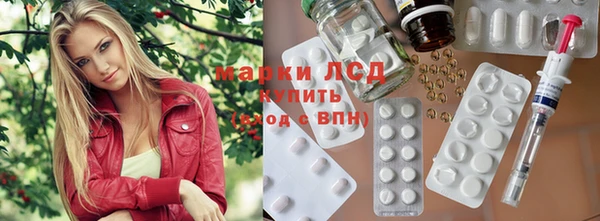 PSILOCYBIN Верея