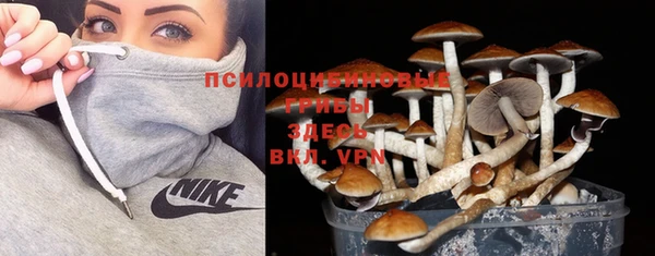 дурь Богданович