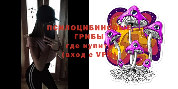 бошки Богородицк
